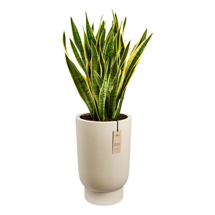 amber grail high 40cm linen white